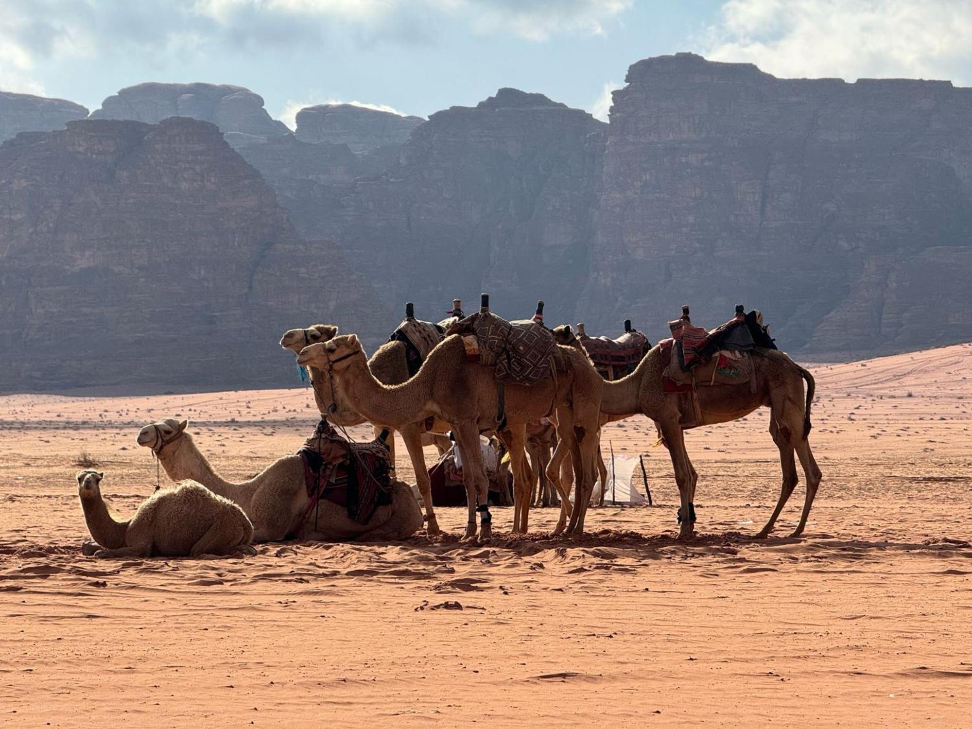 Hotel Sunrise Luxury Camp Wadi Rum Esterno foto